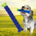 Dog Tooth Brush, Puppy Chew Toothbrush Stick Teeth Cleaning Dental Toys (1 Pc) - Closeup Embroidery by Nari Haat, Ind...