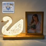 Duck Shape Cystal Led Lamp & Photo Frame Night Lamp | Wedding Gift | love couple - Front View by Nari Haat, Indian et...