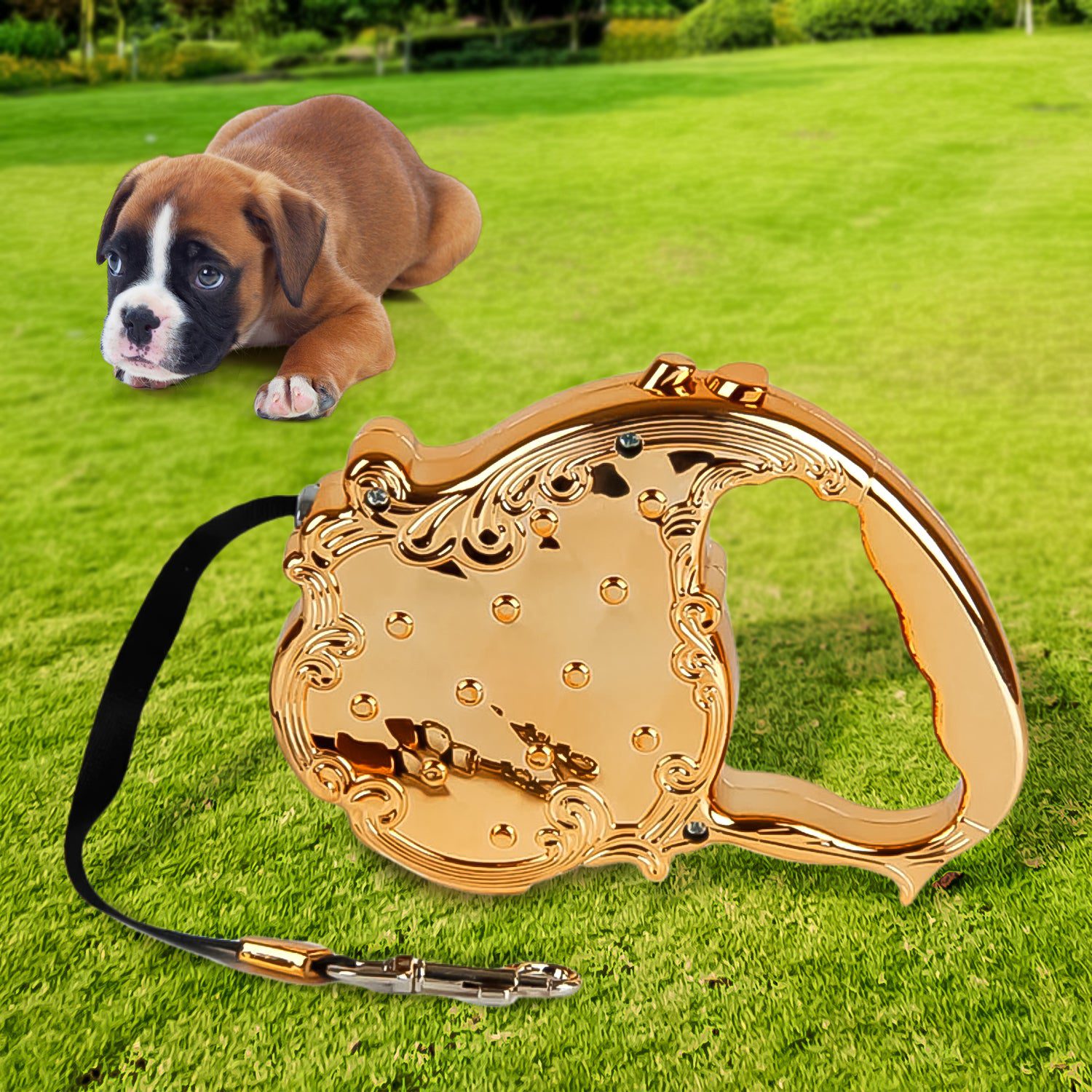 01_9e707313-31fd-4fe3-9620-f00e97e19679.jpg Retractable Golden Pet Leash