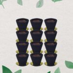 Premium Gugal Sambrani Cup Sambrani Havan Cups (12 Pcs Set) - Front View by Nari Haat, Indian ethnic wear, women clot...