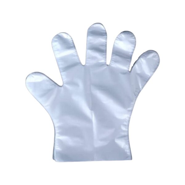 100 Pcs Large Clear Disposable Plastic Gloves