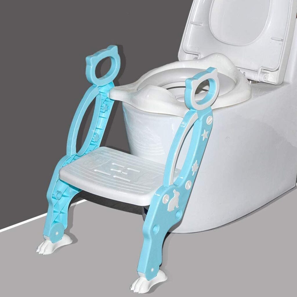 2-in-1 Potty Training Toilet Seat with Step Stool
