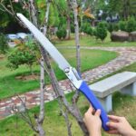 Woodworking Folding Multi-purpose Gardening Saw Outdoor Logging Saw - Front View by Nari Haat, Indian ethnic wear, wo...