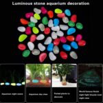 Multi-Color Decorative Stone for Garden Stone Set - Back View by Nari Haat, Indian ethnic wear, women clothing, desig...