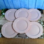 Plastic Dinner Plates Wedding Birthday Party Tableware Supplies (6 Pcs Set) - Front View by Nari Haat, Indian ethnic ...