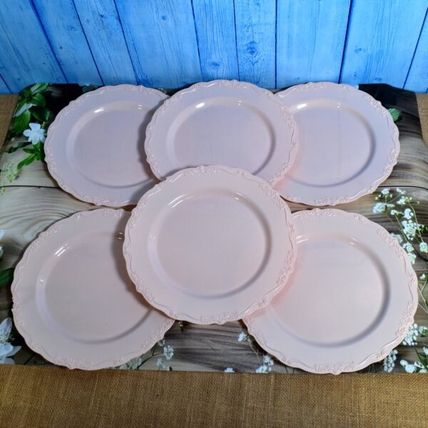 Plastic Dinner Plates Wedding Birthday Party Tableware Supplies (6 Pcs Set) - Front View by Nari Haat, Indian ethnic ...