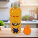 PORTABLE GLASS WATER BOTTLE, CREATIVE GLASS BOTTLE WITH GLASS WATER ( Mix Design) - Back View by Nari Haat, Indian et...