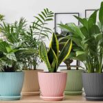 Round Flower Pot with Bottom Tray (5 Pcs Set / Small / 14×16 Cm) - Closeup Embroidery by Nari Haat, Indian ethnic we...