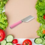 Stainless Steel Knife For Kitchen Use, Knife Set,  Fruit, Vegetable,(Mix Design 1 Pc) - Sleeve Design by Nari Haat, I...