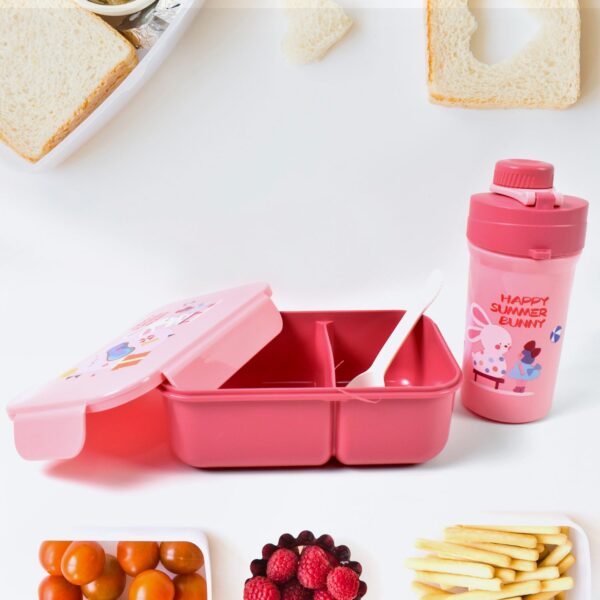 Plastic Lunch Box Leak Proof 2 Compartment with Bottle and Fork (1 Set / Mix Color) - Front View by Nari Haat, Indian...