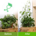 Plant Climbing Wall Fixture Clip Self-Adhesive Hook (100 Pcs Set) - Sleeve Design by Nari Haat, Indian ethnic wear, w...