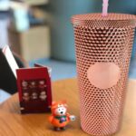 Studded Cup Tumbler Straw Lid - Plastic Double Walled Cold Cup for iced Coffee - Fabric Detail by Nari Haat, Indian e...