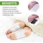kinoki Cleansing Detox Foot Pads, Ginger & salt Foot Patch -10pcs (Free Size, White) - Sleeve Design by Nari Haat, In...