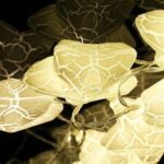 Home Decoration Diwali & Wedding LED String Light Indoor and Outdoor Light (1 Pc / Mix Design) - Neckline Detail by N...