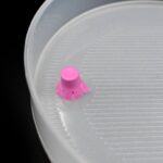 Sprout Maker 4 Layer for Household and Kitchen Use - Full Detail by Nari Haat, Indian ethnic wear, women clothing, de...