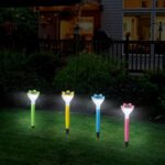 Solar Flower Garden Lights – Outdoor Decorative LED Lamp (2 Pc) - Neckline Detail by Nari Haat, Indian ethnic wear,...