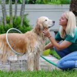 Pet Shower Sprayer, Cat Dog Grooming Bath Massager, With Microfiber Glove (1 Set) - Neckline Detail by Nari Haat, Ind...