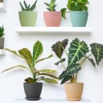 Plastic Flower Pot with Bottom Tray (5 Pcs Set) - Fabric Detail by Nari Haat, Indian ethnic wear, women clothing, des...