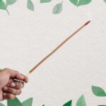 Premium Incense Sticks / Agarbatti for Everyday Use for Home, Office, Meditation and Pooja for Puja, & Other Fest...