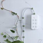 Plant Climbing Wall Fixture Clip Self-Adhesive Hook (40 Pcs Set / With plastic box) - Neckline Detail by Nari Haat, I...