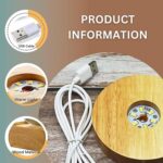 Astronaut Ball Night Light Lamp Decorative Lamp For Living Room Decor (1 Pc) - Closeup Embroidery by Nari Haat, India...