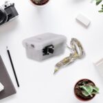 8 LED String Lights 3 Battery Operated (1 Pc / Battery Not Included) - Back View by Nari Haat, Indian ethnic wear, wo...