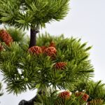 Artificial Potted Plant with Square Pot - Image 5