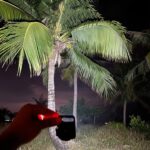 LED Battery Operated Keychain Flashlight with Folding Bracket (1 Pc) - Sleeve Design by Nari Haat, Indian ethnic wea...