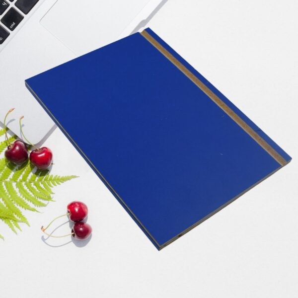 Phone Screen Magnifier & Holder – Video Zoom Display Expander - Front View by Nari Haat, Indian ethnic wear, women ...