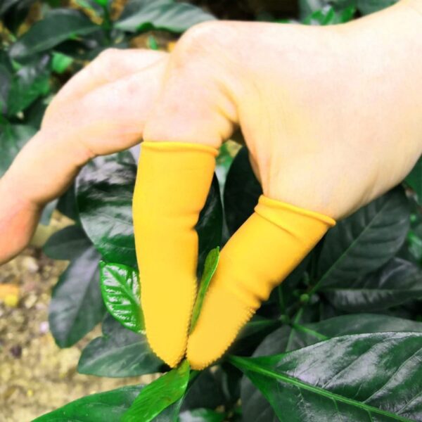 Finger Caps, Silicone Finger Protectors Sleeves (Finger Cots / 5 Pcs Set / yellow) - Front View by Nari Haat, Indian ...