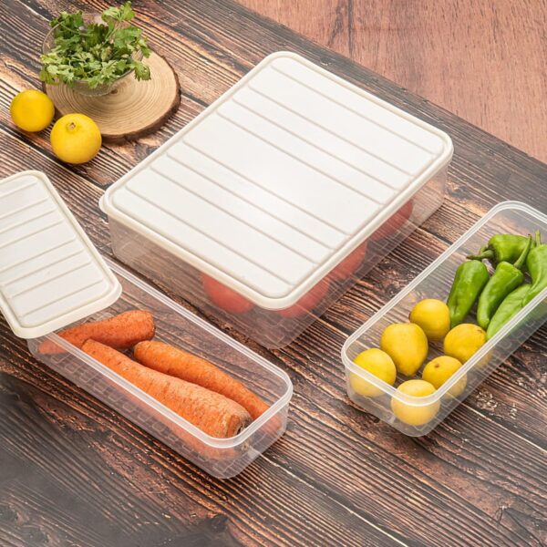 Plastic Fridge Food Storage Container