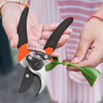 Sharp Garden Shears for Pruning
