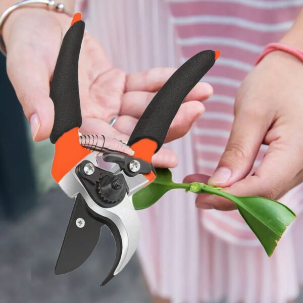 Sharp Garden Shears for Pruning