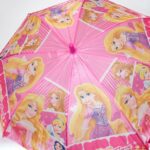 3 Fold Manual Open Umbrella  Umbrella for Women, Men & Kids (1 Pc) - Closeup Embroidery by Nari Haat, Indian ethnic w...