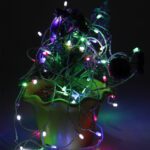 Hanging Lights for home decoration 4Mtr - Back View by Nari Haat, Indian ethnic wear, women clothing, designer suit