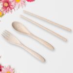 Rice Bowl Noodle Set – 6 Pcs with Lid, Handle & Cutlery - Full Detail by Nari Haat, Indian ethnic wear, women cloth...