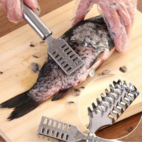 Stainless Steel Fish Scale Remover Scraper