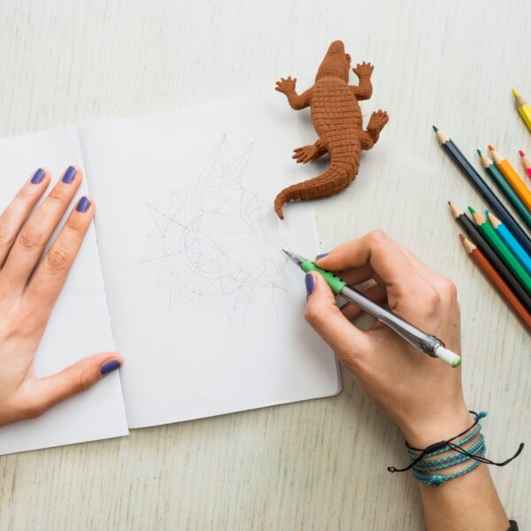 CROCODILE SHAPED ERASERS ANIMAL ERASERS FOR KIDS - Front View by Nari Haat, Indian ethnic wear, women clothing, desig...