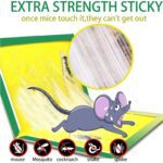 PCI Cardboard Troublegum Small Size Mouse Trap-1pc - Neckline Detail by Nari Haat, Indian ethnic wear, women clothing...