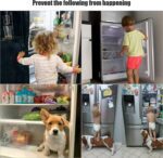 Fridge Freezer Door Lock -Baby Safety Child Lock - Full Detail by Nari Haat, Indian ethnic wear, women clothing, desi...