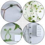 Plant Climbing Wall Fixture Clip Self-Adhesive Hook (40 Pcs Set / With plastic box) - Sleeve Design by Nari Haat, Ind...