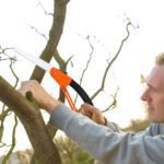 15 Inch Mini Pruning Folding Saw (1 Pc) - Neckline Detail by Nari Haat, Indian ethnic wear, women clothing, designer ...