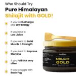 Himalayan Shilajit Gold Resin – 20g | Helps improve Stamina | Contains Gold - Fabric Detail by Nari Haat, Indian et...