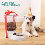 Automatic Pet Food Dispenser Self-Dispensing Pet Feeder Food Dispenser - Closeup Embroidery by Nari Haat, Indian ethn...