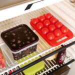 Plastic egg carry tray for fridge
