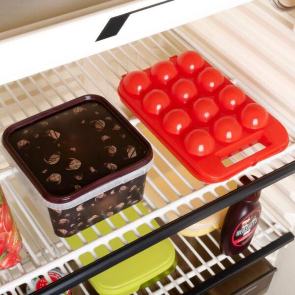 Plastic egg carry tray for fridge
