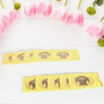 Wedding & Celebration Money Gift Envelopes for Shagun & Gifting (10 Pcs Set) - Sleeve Design by Nari Haat, Indian eth...