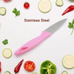 Stainless Steel Small Fruit Knife with Non-Slip Handle & Protective Cover (1 Pc) - Closeup Embroidery by Nari Haat, I...