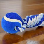 Durable Cotton Rope Dog Toy Two-Way Ball Design (1 Pc) - Closeup Embroidery by Nari Haat, Indian ethnic wear, women c...