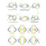 Run Construction Toys Set - Full Detail by Nari Haat, Indian ethnic wear, women clothing, designer suit